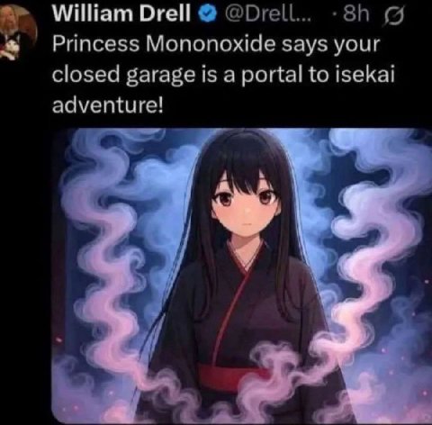 William Drell Princess Mononoxide says your closed garage 15 a portal to 15еКа! adventure!
