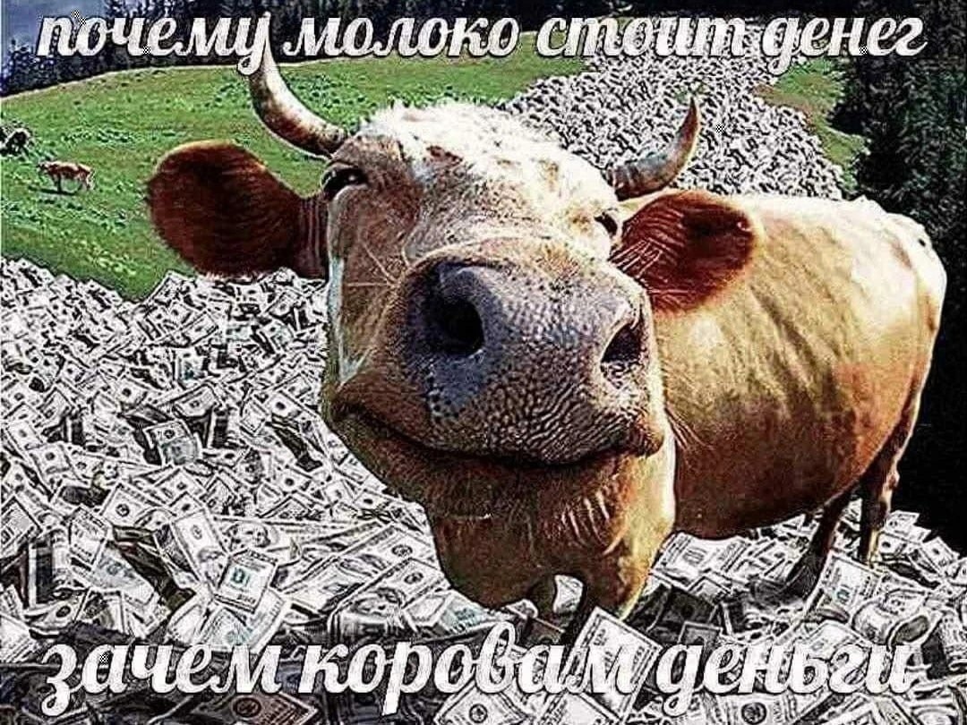 „почему молоко HE?! 1 we 28 я 2 4 ON к и A