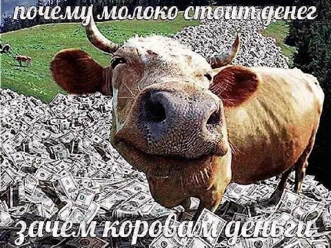 „почему молоко HE?! 1 we 28 я 2 4 ON к и A