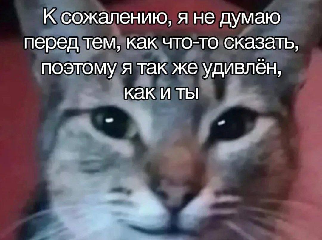 сожалению, я не думаю перед тем, как что-то сказать, поэтому я так же удивлён, как И ТЫ a