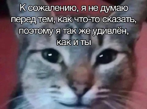 сожалению, я не думаю перед тем, как что-то сказать, поэтому я так же удивлён, как И ТЫ a