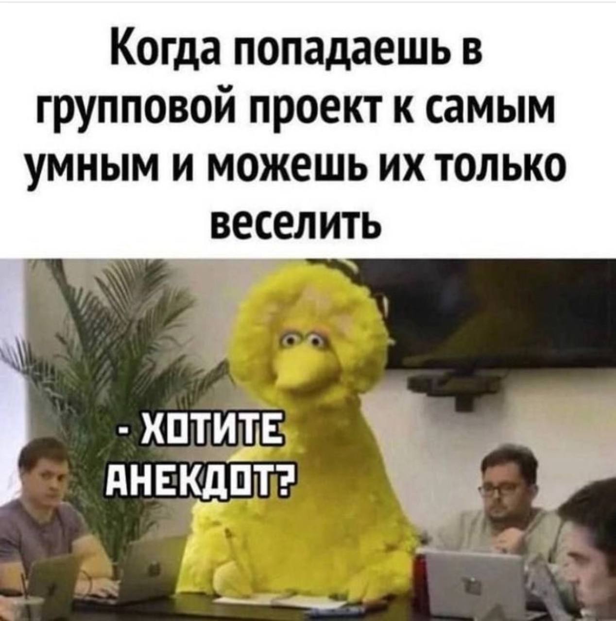Когда попадаешь в групповой проект к самым умным и можешь только веселить у.