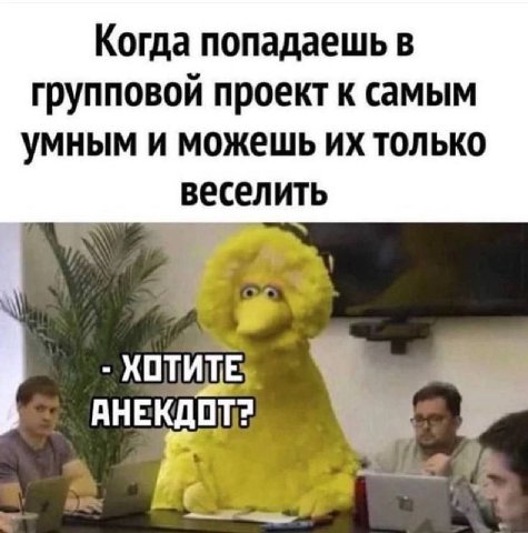 Когда попадаешь в групповой проект к самым умным и можешь только веселить у.