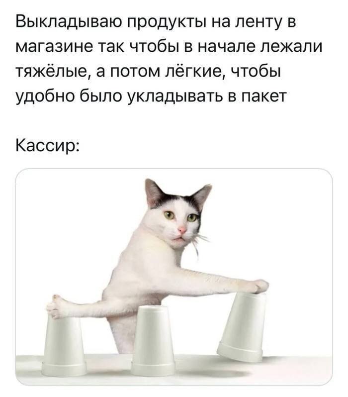 Выкладываю продукты на ленту в магазине так чтобы в начале лежали тяжёлые, а потом лёгкие, чтобы удобно было укладывать в пакет Кассир: