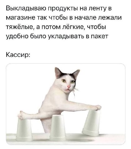 Выкладываю продукты на ленту в магазине так чтобы в начале лежали тяжёлые, а потом лёгкие, чтобы удобно было укладывать в пакет Кассир: