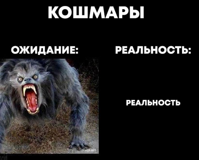 КОШМАРЫ ОЖИДАНИЕ: РЕАЛЬНОСТЬ РЕАЛЬНОСТЬ