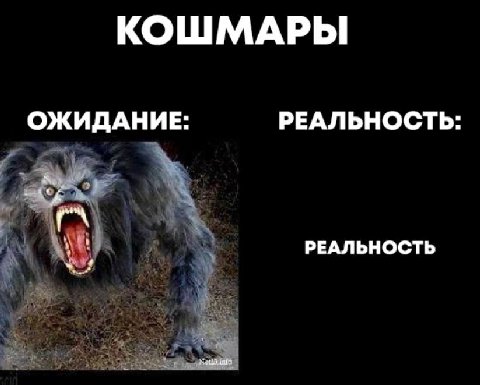 КОШМАРЫ ОЖИДАНИЕ: РЕАЛЬНОСТЬ РЕАЛЬНОСТЬ