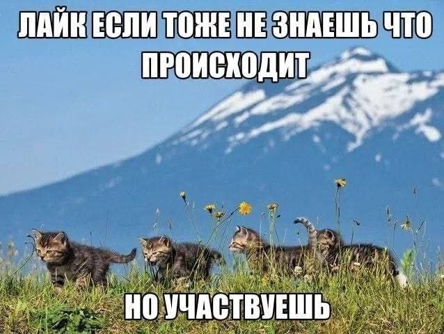 ЛАИК ЕСЛИ ТОЖЕ НЕ ЗНАЕШЬ ЧТО ПРОИСХОДИТ НОУЧАСТВУЕШЬ