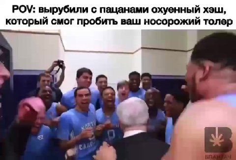 POV: вырубили с пацанами охуенный хэш, который смог пробить ваш носорожий толер