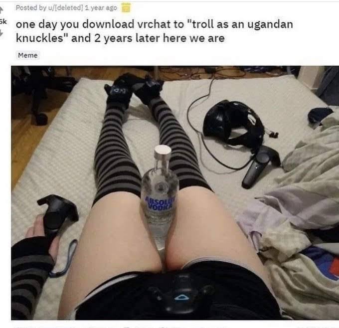 Posted 1 year ago one day you download vrchat to "troll as an ugandan knuckles" and 2 years later here we are Meme