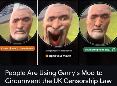 Come сюзаг to the camera Estimating your age... Open your mouth People Are Using Garry's Mod to Circumvent the Censorship Law