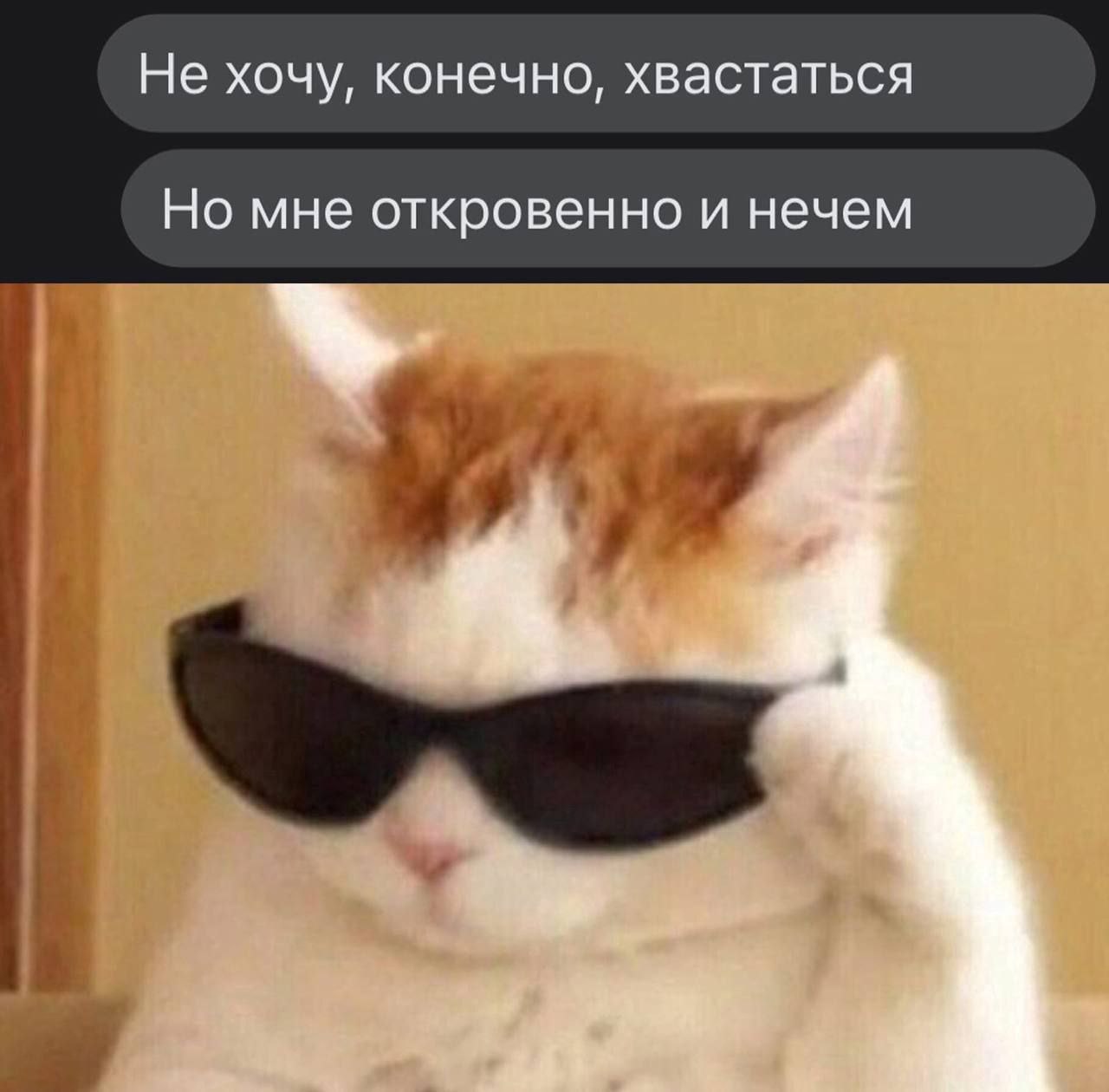 Не хочу, конечно, хвастаться Но мне откровенно и нечем