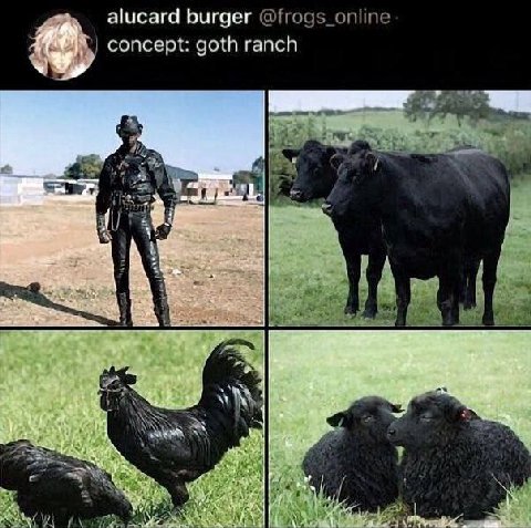 alucard burger @frogs_online concept: goth ranch 4, Ж