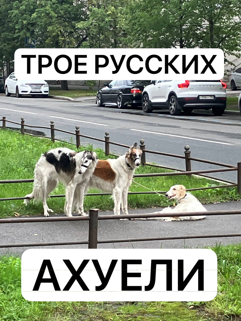 ТРОЕ РУССКИХ i 4