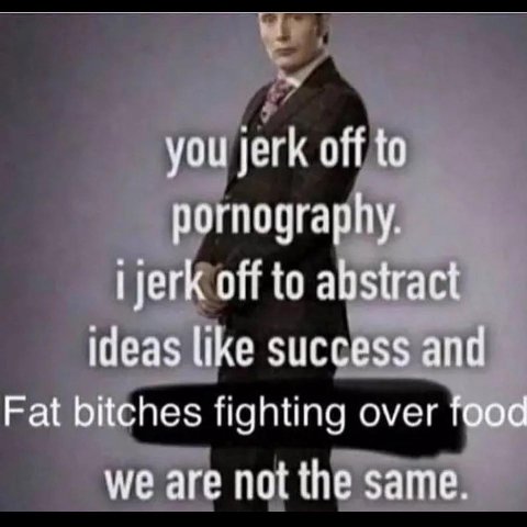 you jerk off to pornography. ijerk off to abstract ideas like success and Fat bitches fighting over food we are not the same.
