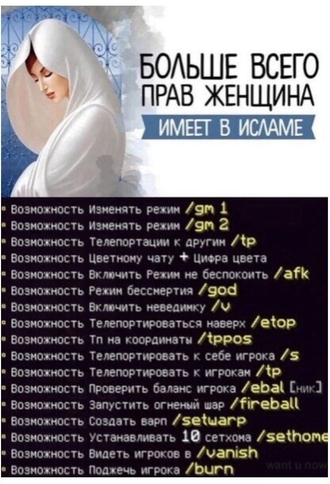 БОЛЬШЕ ВСЕГО 6 ПРАВ ЖЕНЩИНА ИМЕЕТ В ИСЛАМЕ Возможность Изменять режим 1 Возможность Изменять режим 2 Возможность Телепортации к Возможность Цветному чату Цифра цвета Возможность Включить Режим не бесп