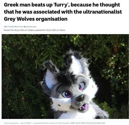 Greek man beats up Фиггу', because he thought that he was associated with the ultranationalist Grey Wolves organisation