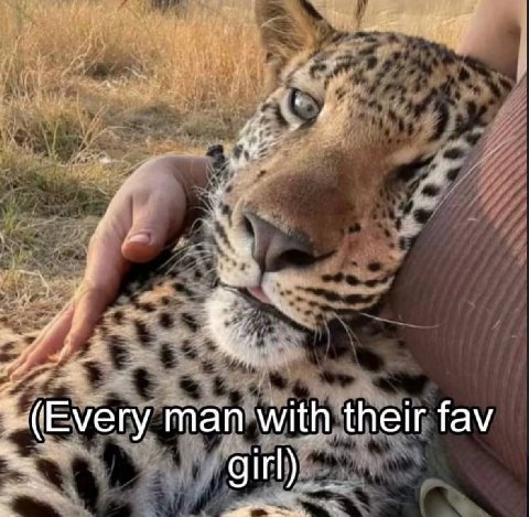 man with their fav girl)