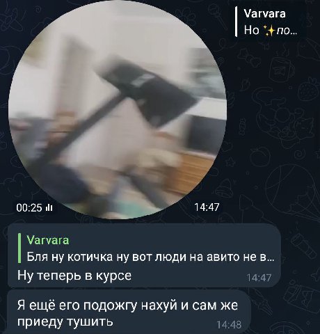 Varvara Но по... 00:25 и 14:47 Varvara Бля ну котичка ну вот люди на авито не в... Ну теперь в курсе Я ещё его подожгу нахуй и сам же приеду тушить