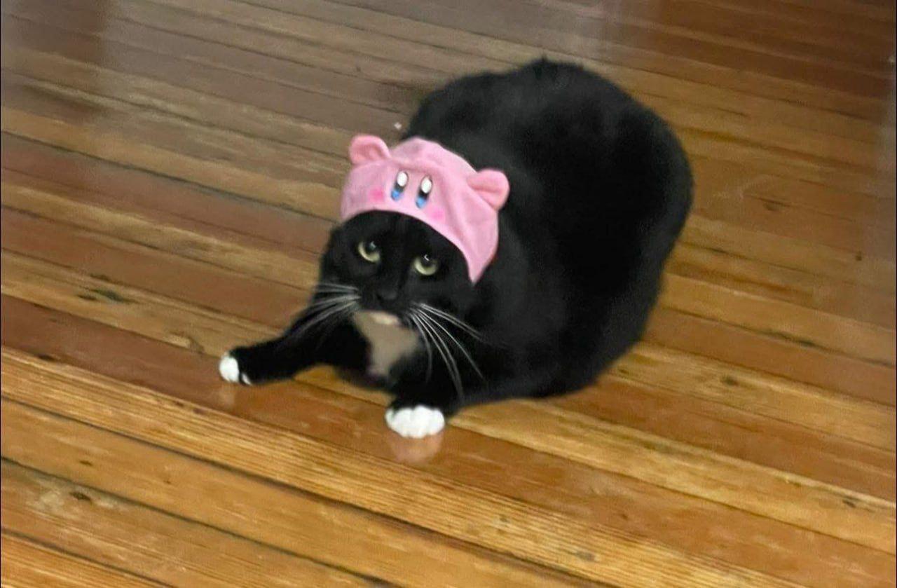 открытк