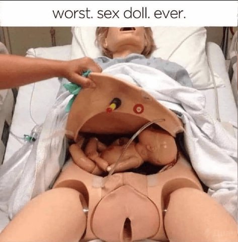 worst. sex doll. ever.