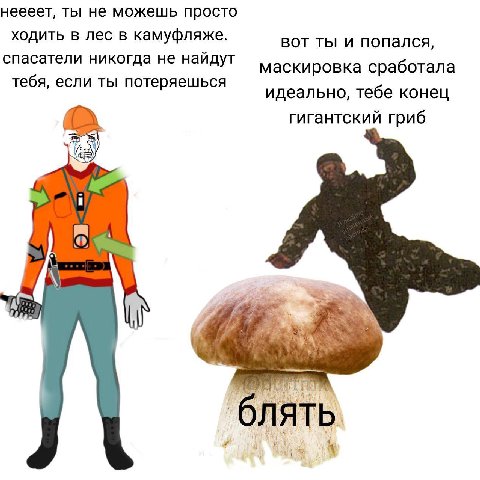 неееет, ты не можешь просто ходить в лес в камуфляже. вот ты и попался, спасатели никогда не найдут маскировка сработала тебя, если ты потеряешься идеально, тебе конец гигантский гриб ОЛЯТЬ