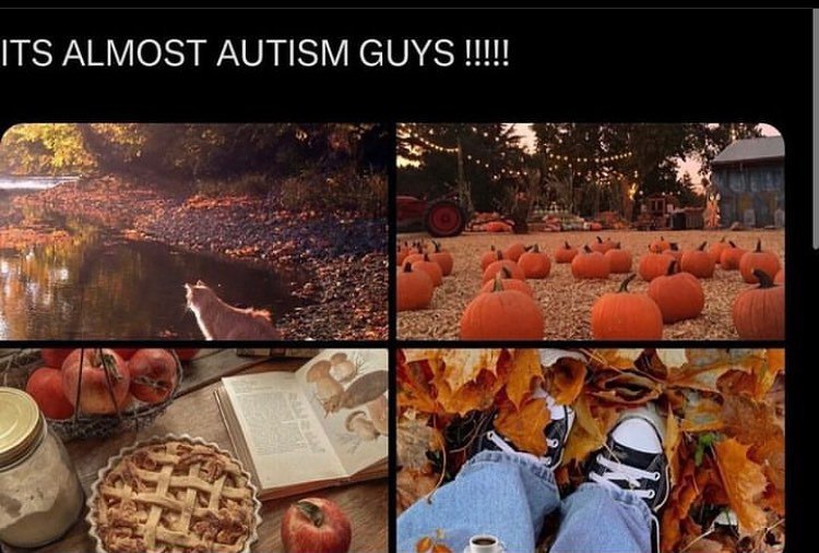 ITS ALMOST AUTISM GUYS а