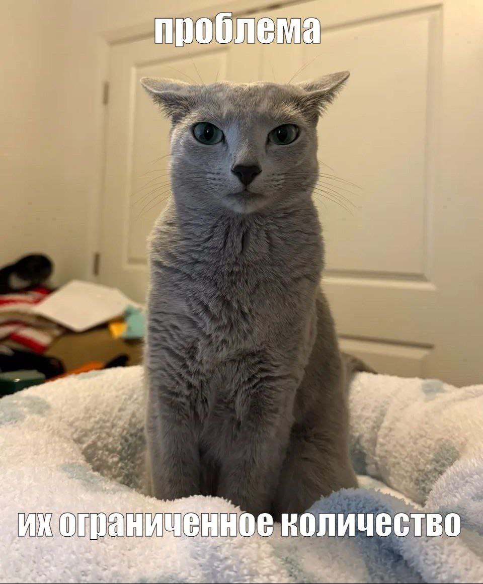 количество