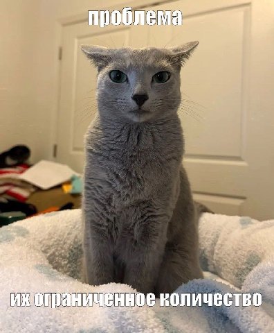 количество