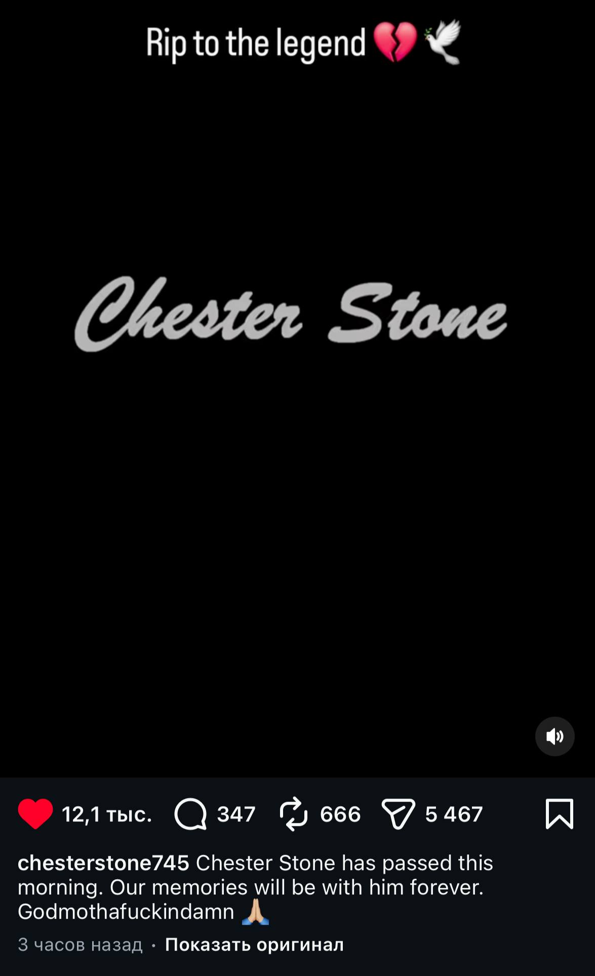 Rip to the legend 12Атыс. “75467 [A chesterstone745 Chester Stone has passed this morning. Our memories will be with him forever. Godmothafuckindamn А, 3 часов назад Показать оригинал