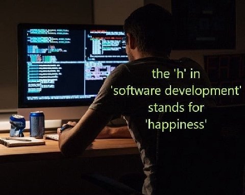 the in 1 software development stands for 'Варртез5'