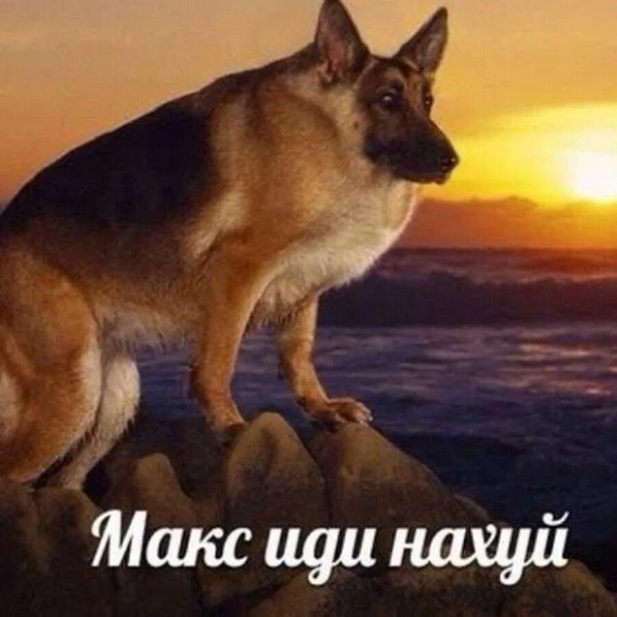 Макс иди нахуй