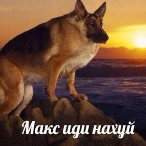 Макс иди нахуй