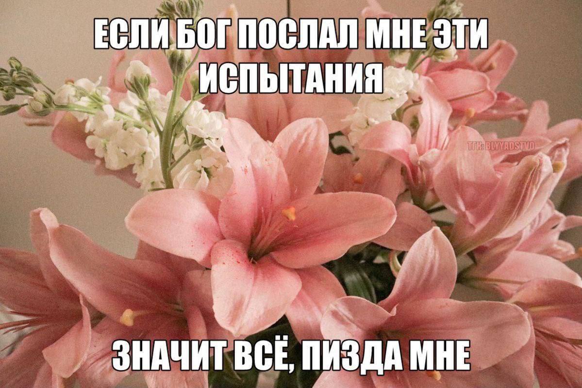 ЕСЛИ.БОГ ПОСЛАЛ МНЕ ЭТИ ИСПЫТАНИЯ», 4 ccs tie ЗНАЧИТ ВСЕ, ПИЗДА МНЕ