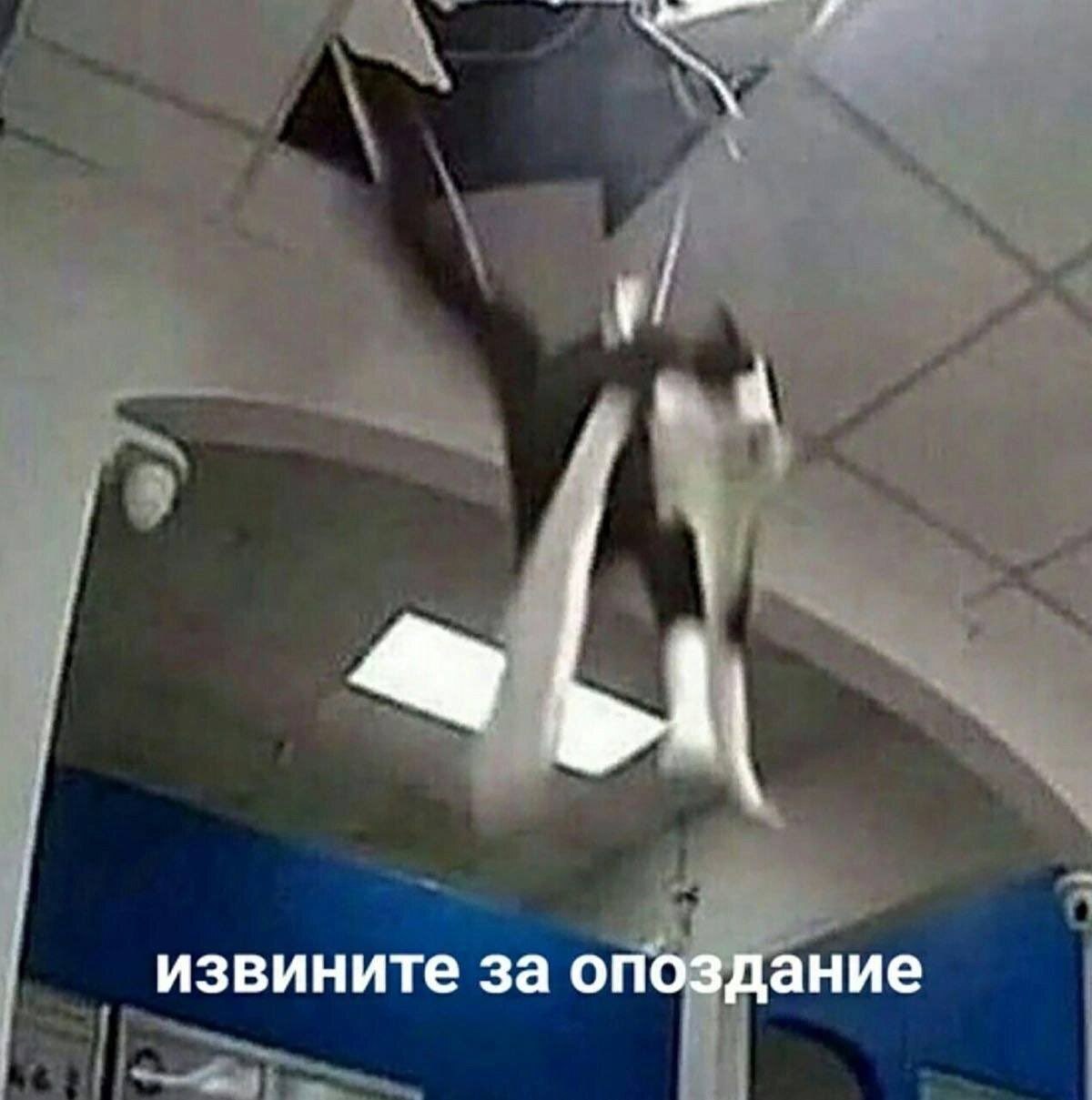 извините за опоздание