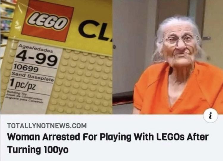 i TOTALLYNOTNEWS.COM Woman Arrested For Playing With LEGOs After Turning