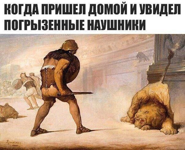 КОГДА ПРИШЕЛ ДОМОЙ И УВИДЕЛ ПОГРЫЗЕННЫЕ НАУШНИКИ 5