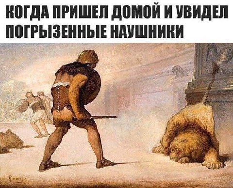 КОГДА ПРИШЕЛ ДОМОЙ И УВИДЕЛ ПОГРЫЗЕННЫЕ НАУШНИКИ 5
