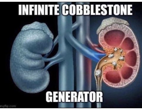 INFINITE COBBLESTONE GENERATOR