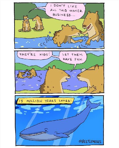 DON'T LIKE ALL THIS WATER BUSINESS... a THEN’RE KID tHem HAVE FUN.