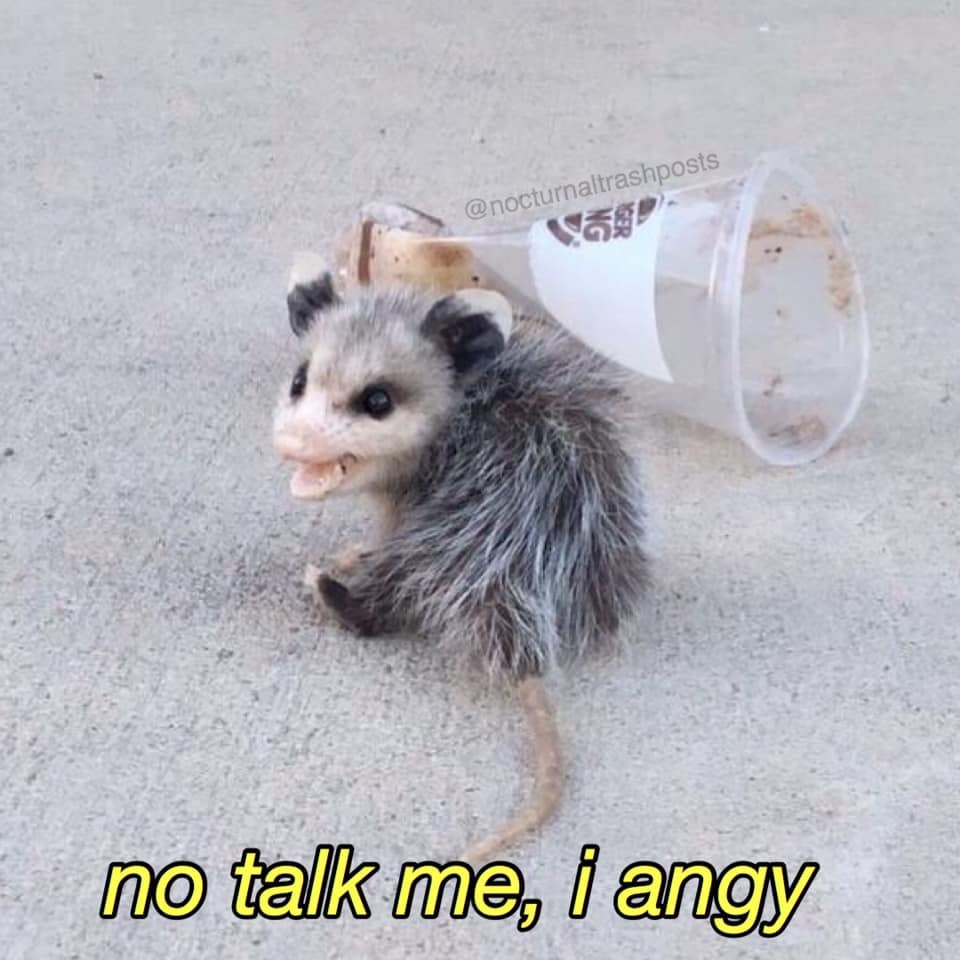 $58” me, feng NO