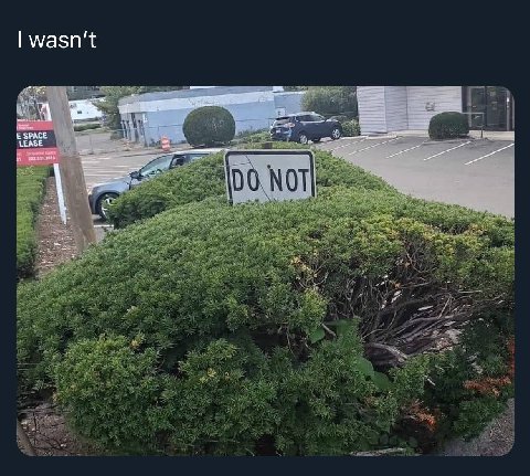 wasn't LEASE