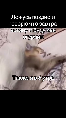 Ложусь поздно и говорю что завтра вслануибудужак встануибулу Такжеяв\@\улра ИЯбудужак Такжея в 6)\упра встанудибуду Пакжеяв@утраь № встамудбуду, встану и буду как