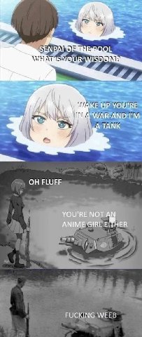 4 БАБА YOU'RE A TANK FLUFF YOU'RE NOT AN ANIME GIRL EMHER FUCKING WEEB