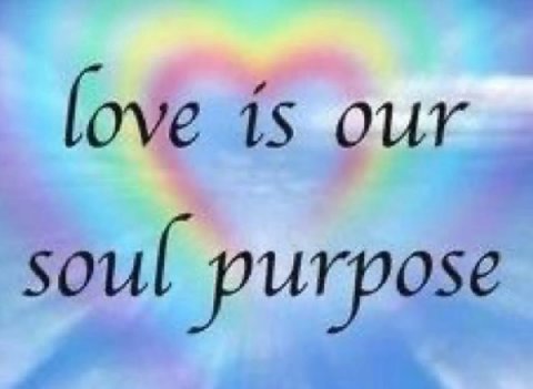 love is our soul purpose