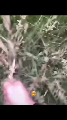 1 i