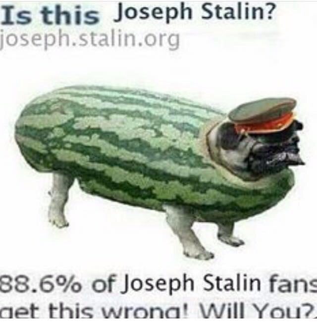 Is this Joseph Stalin? josepn.stalin.org 88.6% of Joseph Stalin fans net this You?.