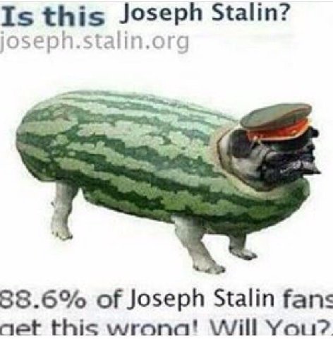 Is this Joseph Stalin? josepn.stalin.org 88.6% of Joseph Stalin fans net this You?.