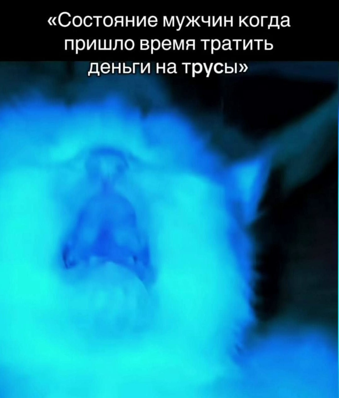 МЕМЫ ОТ БИМО