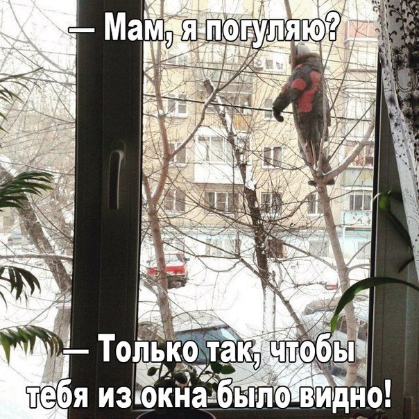погуляю A Только